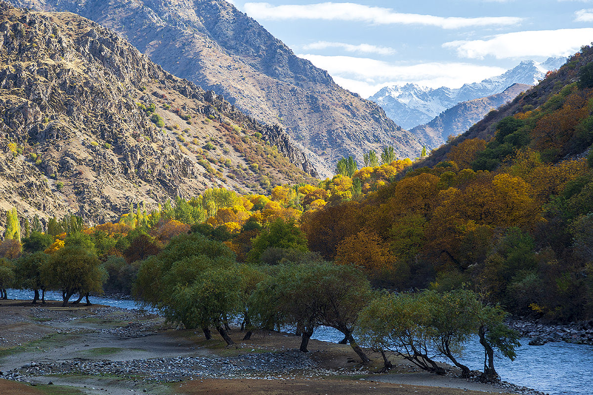 ЮНЕСКО утвердила новый биосферный заповедник в Таджикистане — «Ромит»