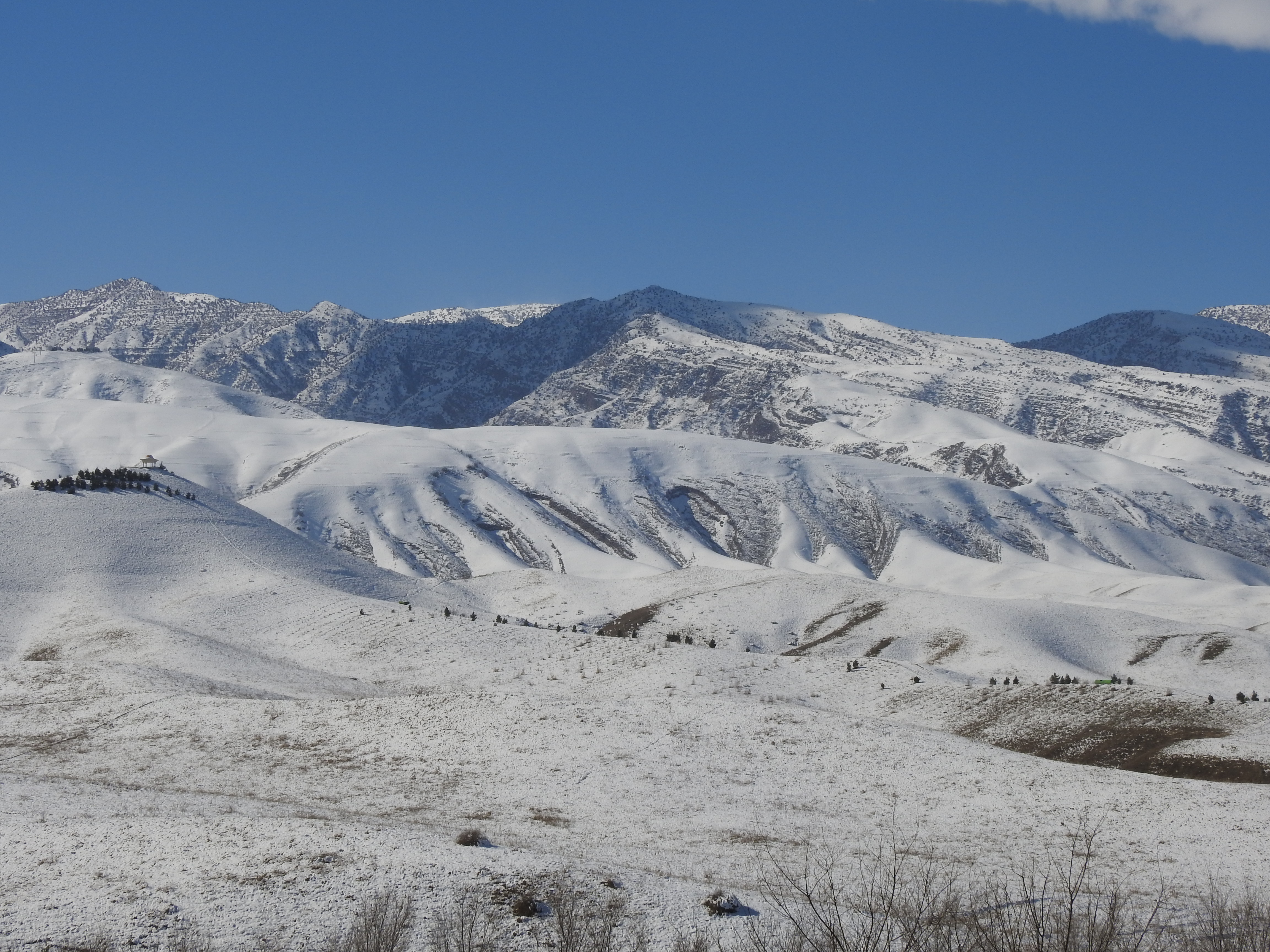 Туркменистан усиливает участие в региональном сотрудничестве по адаптации к изменению климата и вопросам криосферы